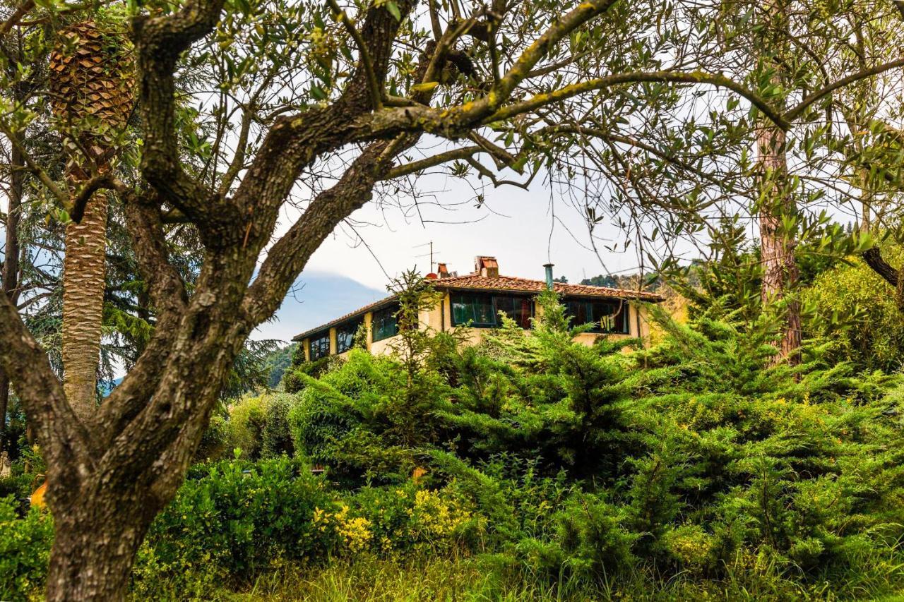 Casa Matilde Bed & Breakfast Mommio Dış mekan fotoğraf