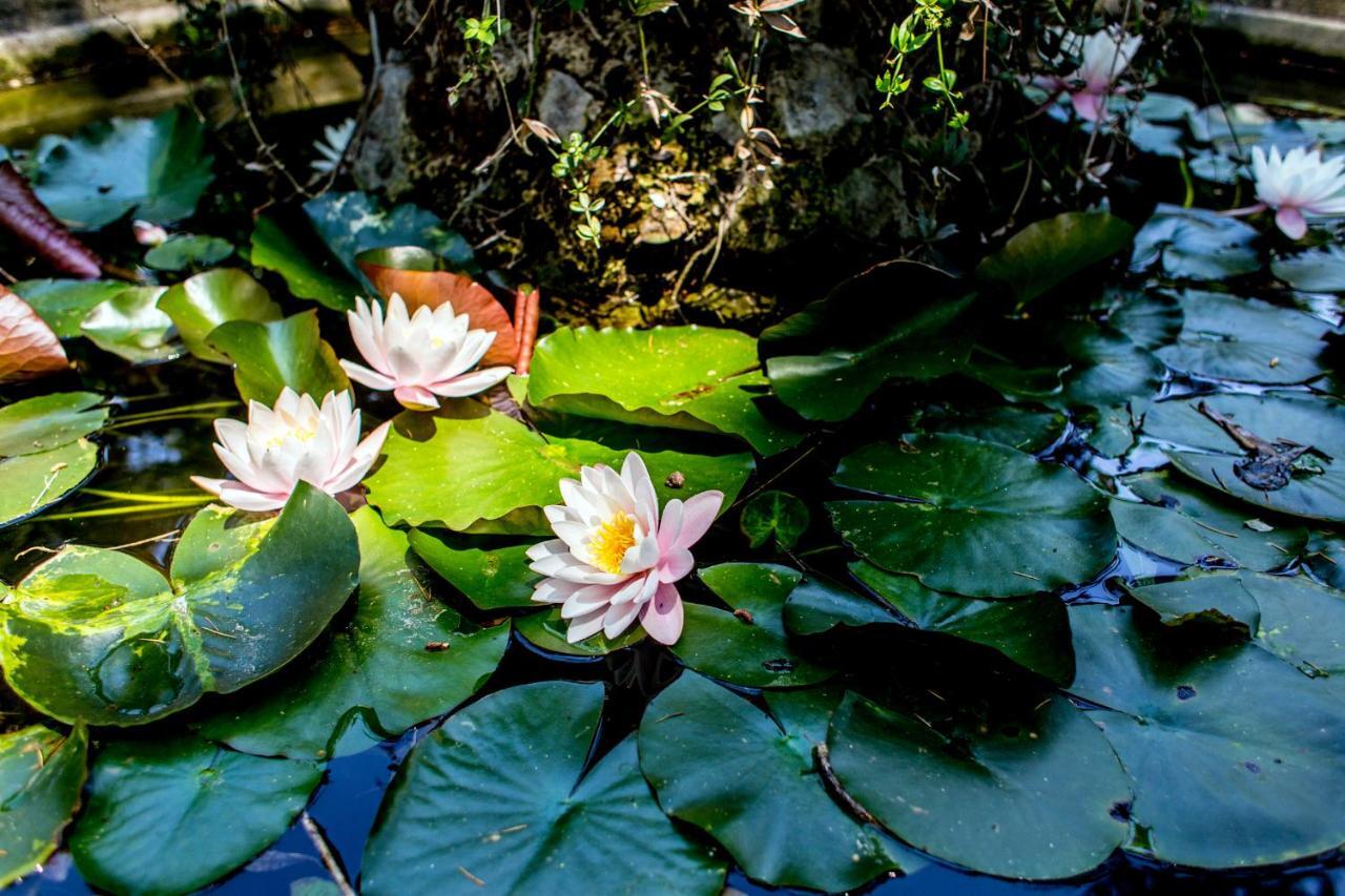 Casa Matilde Bed & Breakfast Mommio Dış mekan fotoğraf