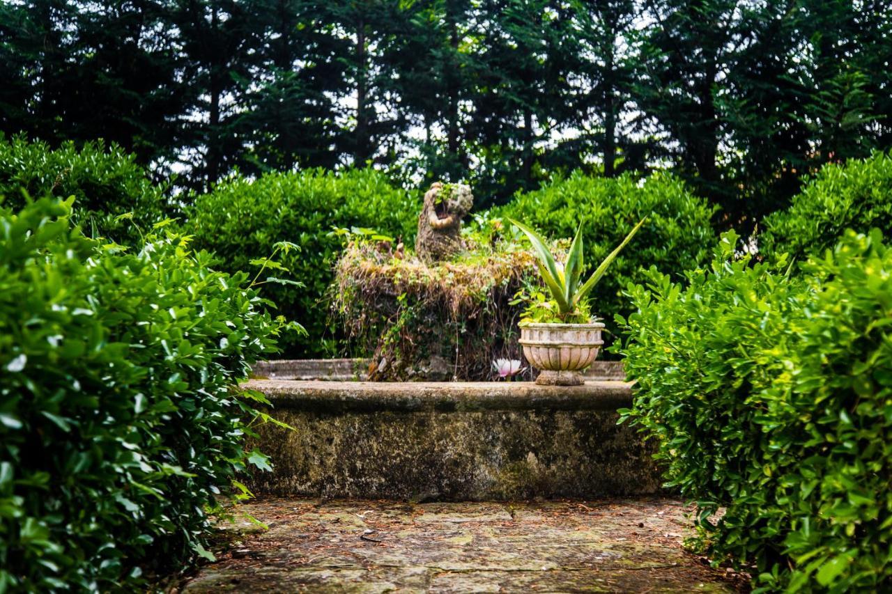 Casa Matilde Bed & Breakfast Mommio Dış mekan fotoğraf