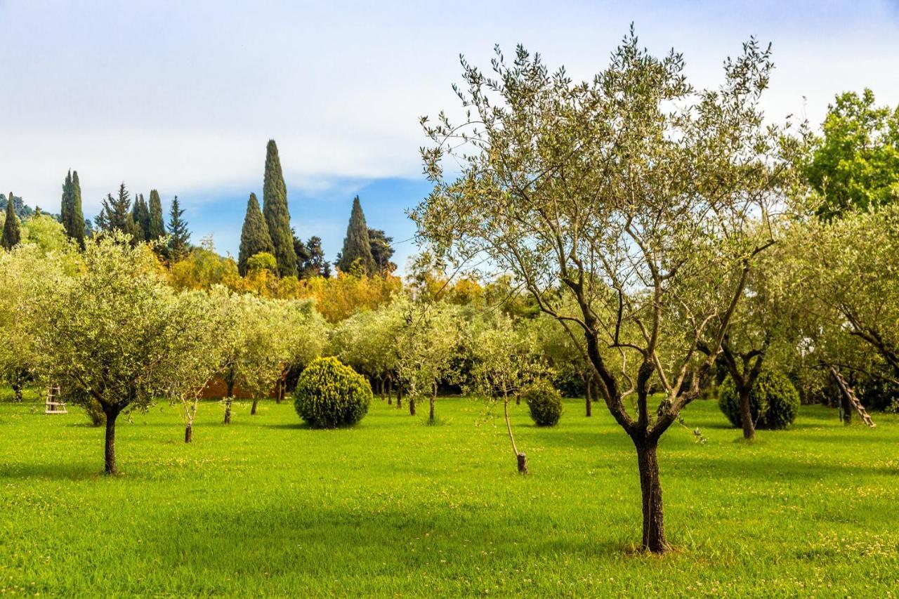 Casa Matilde Bed & Breakfast Mommio Dış mekan fotoğraf